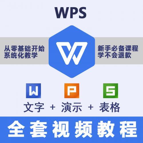 wps教学word排版excel表格函数编程ppt制作电脑办公软件视频教程